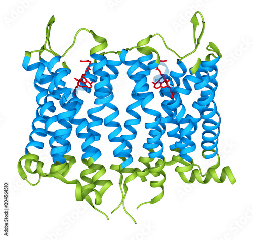 Biological Structure of an Opioid Receptor Membrane Protein