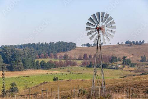 Windmill Cattle Farming Scenic Landscape
