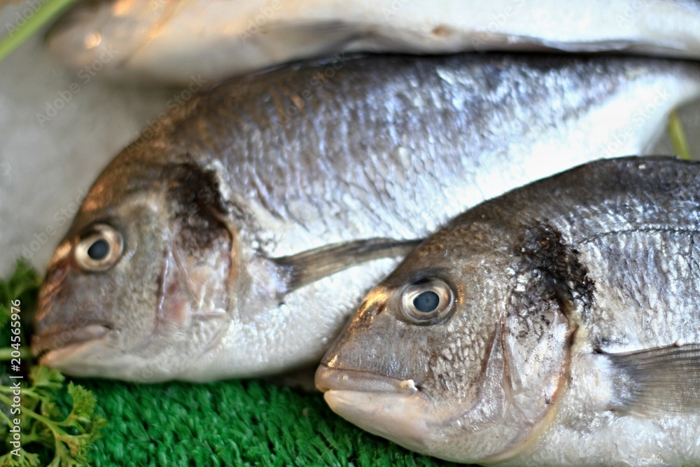 fish that has been caught in the sea fish that has been caught in the sea