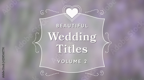 Modern Wedding Titles 3