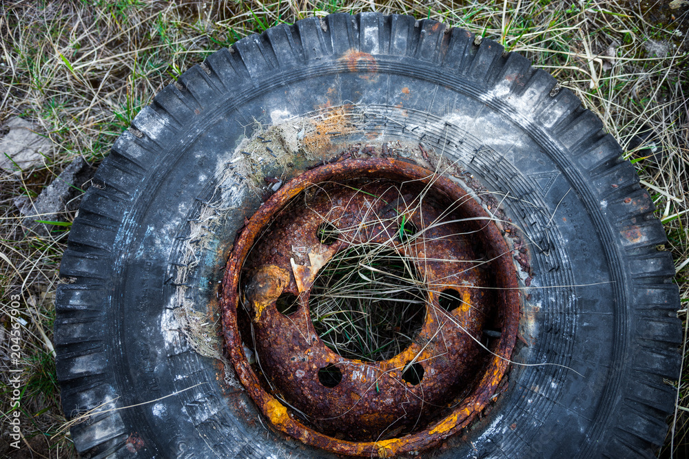 Old used tire cover on the grass
