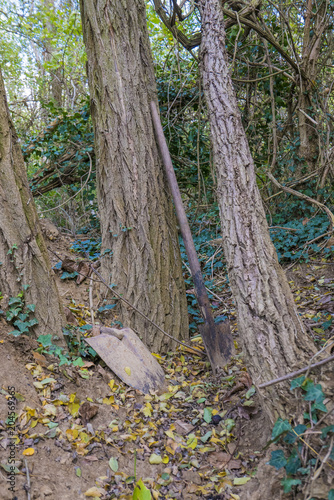 Des pelles dans la forêt photo