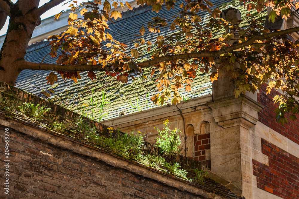 Fototapeta premium old building roof