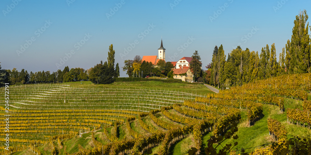 Summer landscape with vineards and small village Jeruzalem in Slovenia.