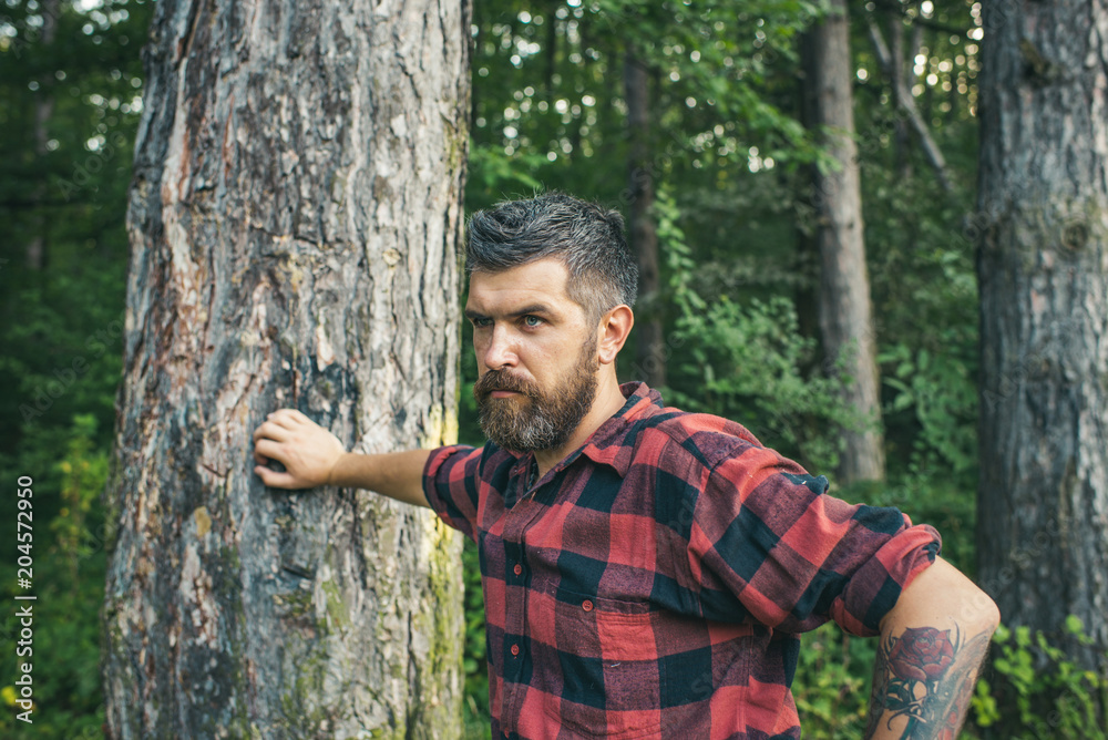 Summer vacation concept. Bearded man in forest. Hipster with long beard on natural green landscape. Tourist in plaid shirt relax at tree. Traveler hiking on sunny day. Summer vacation concept. Bearded man in forest. Hipster with long beard on natural green landscape. Tourist in plaid shirt relax at tree. Traveler hiking on sunny day.