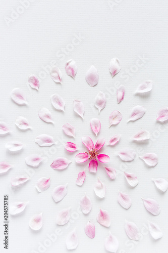 top view on round pattern of sacura flowers laying on white background. Concept of love and spring. Dof on sacura flowers. © melnikofd