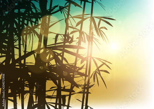Silhouette of bamboo on sunlight background