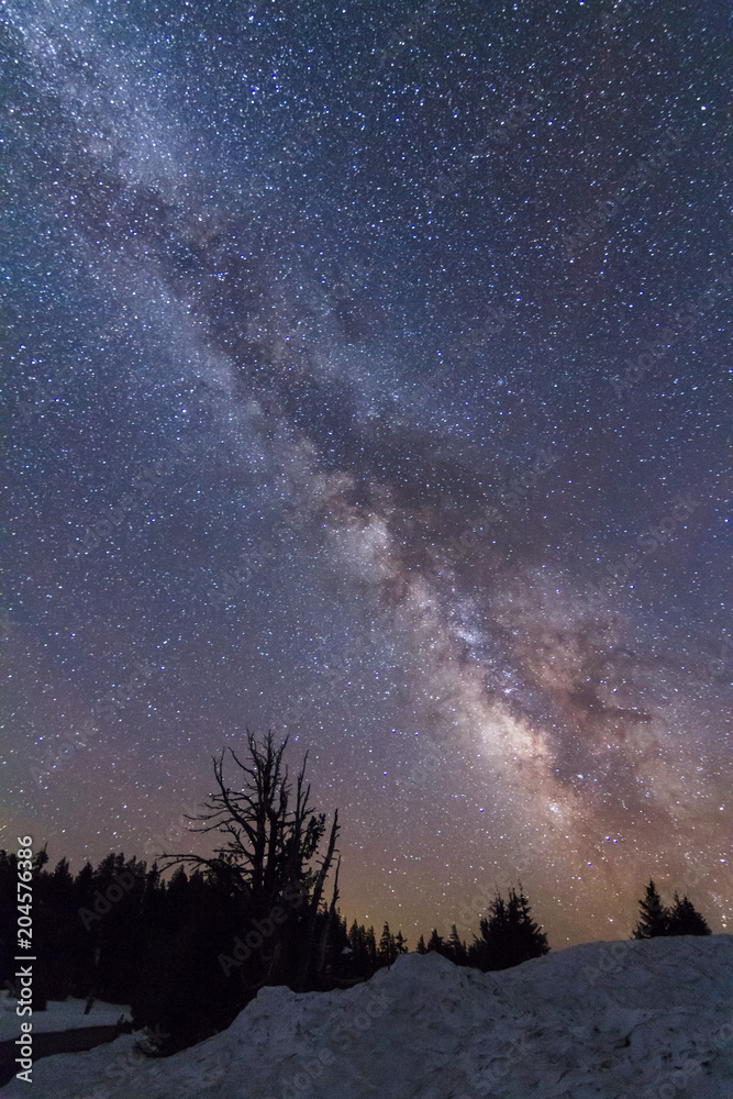 Galactic center of Milky Way above trees Galactic center of Milky Way above trees