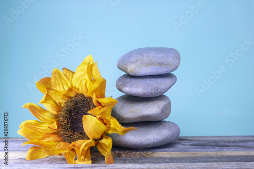 A yellow flower blooms next to a stack of rocks on a bright blue background, Minimalist desk decorations 