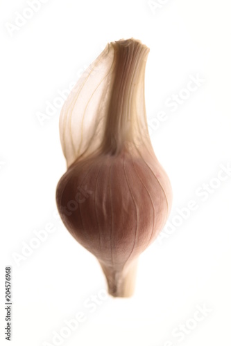 Ajo 