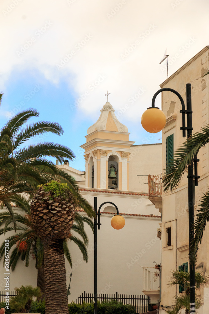 Italy, Foggia, Apulia, SE Italy, Gargano National Park,Vieste. Bell tower of church, palm trees, city street lanterns.