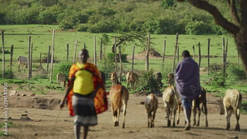 Wallpaper Mural A Maasai village Torontodigital.ca