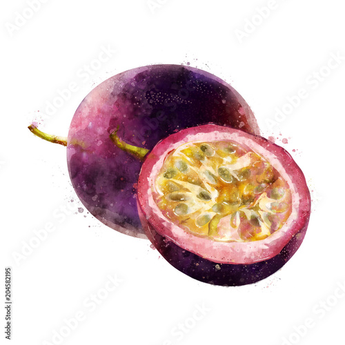 Passionfruit on white background. Watercolor illustration