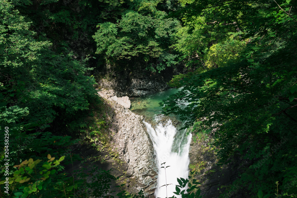 緑と滝 緑と滝