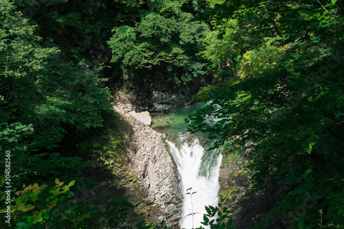 緑と滝 © nagomi_camera