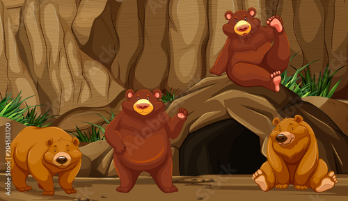 Bear at the Mountain Cave
