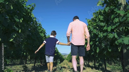 Tracking shot, father and son walk through vineyard