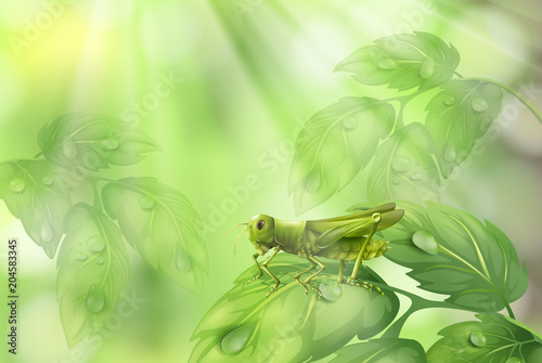 Glasshopper on Plant Leaf Green Background
