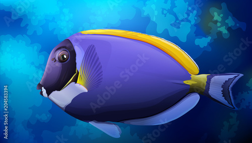 Blue Tang Fish in Ocean