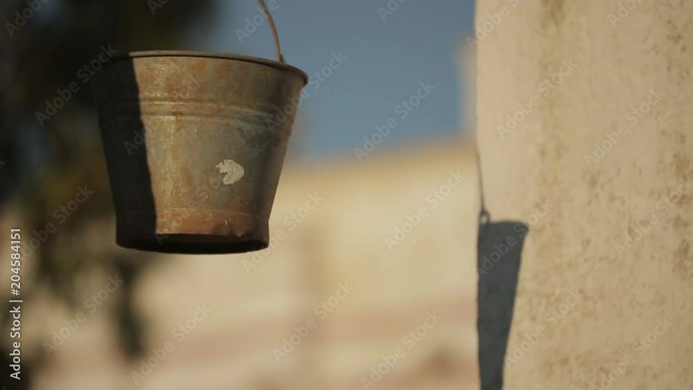 Close up, bucket hanging from tree Close up, bucket hanging from tree