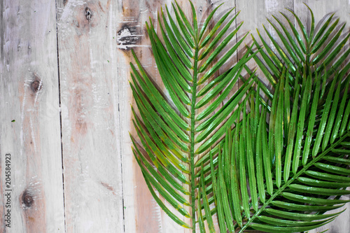 Palm Leaves Decoration