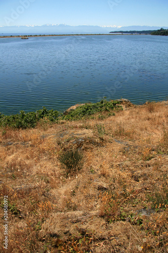 Coastline  Victoria  BC  Canada