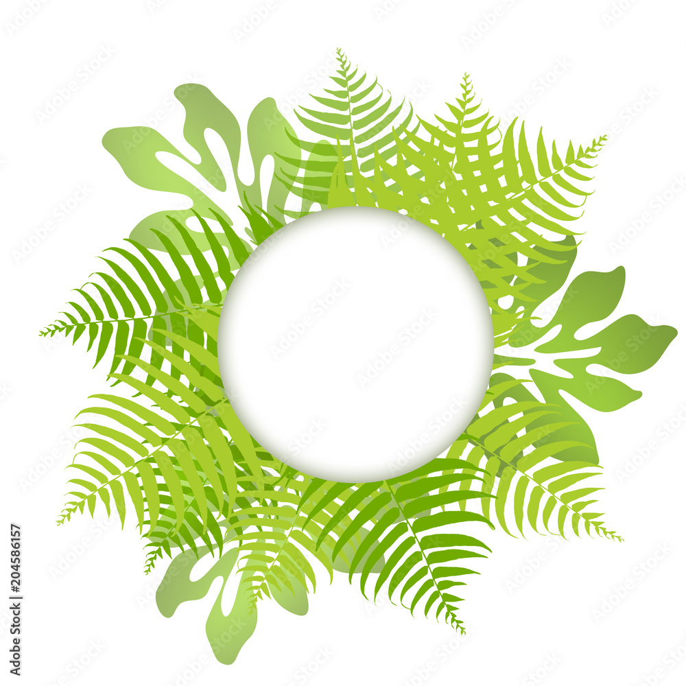 モンステラ プルメリア ハワイ 癒し トロピカル 南国 Stock Illustration Adobe Stock