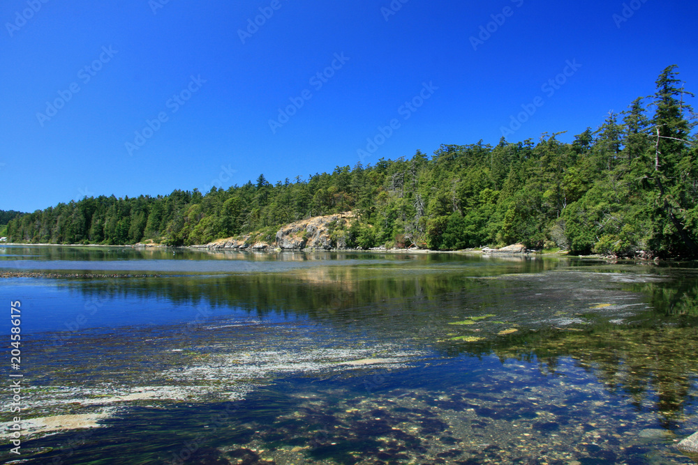 Fototapeta premium Coastline, Victoria, BC, Canada