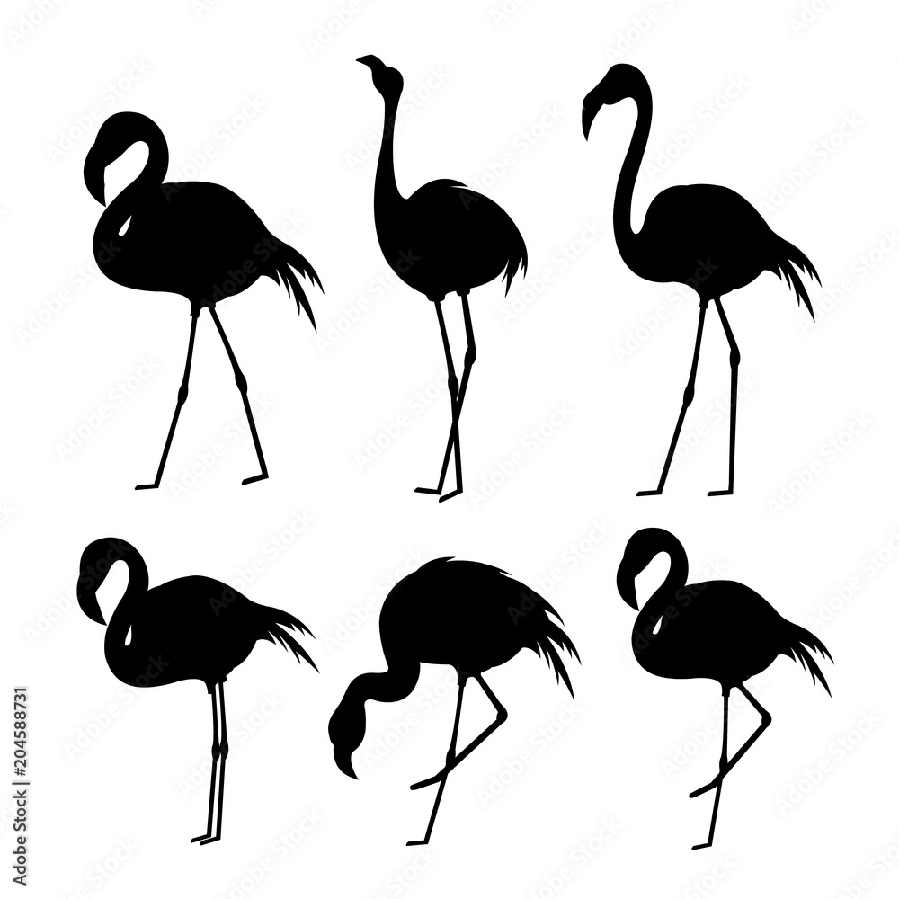 Fototapeta premium Flamingo Black Animal Bird Cartoon Character Vector Illustration 
