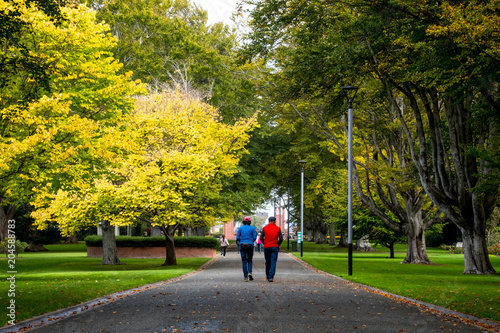 Wallpaper Mural The elderly couple doing exercise together in the park in the morning. Torontodigital.ca