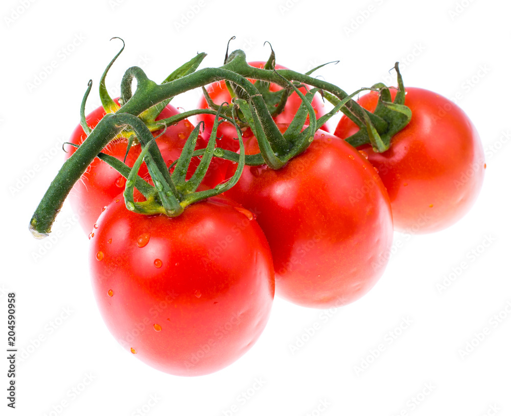 Branch of tomatoes isolated on white Branch of tomatoes isolated on white