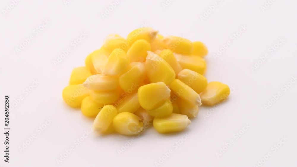 corn seeds rotation on white corn seeds rotation on white