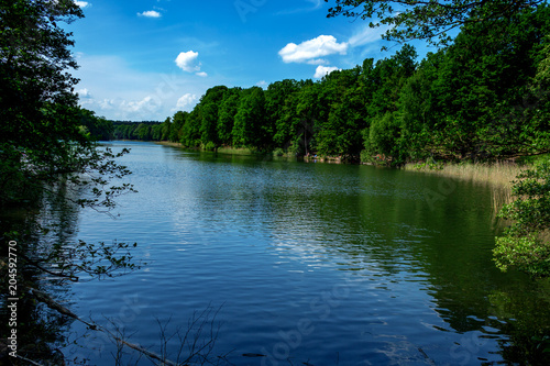 Krumme Lanke lake in the Grunewald Berlin on a sunny day photo