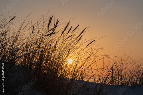 Sunset time at Baltic sea.