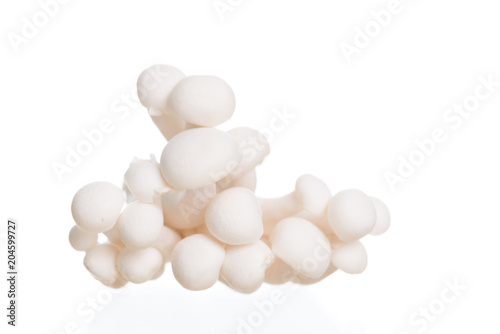 White beech mushrooms or Shimeji mushroom on white background