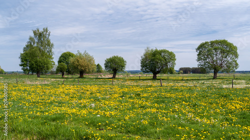 Dekoracja na wymiar  zielone-podlasie