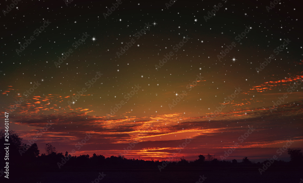 Night sky with stars.