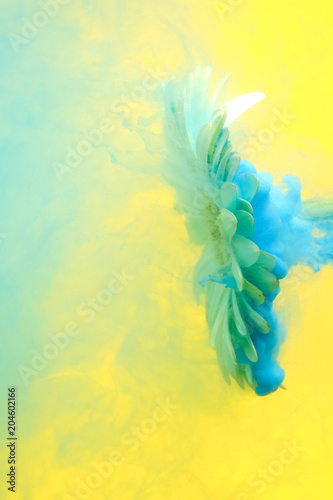 flower in the water with co...