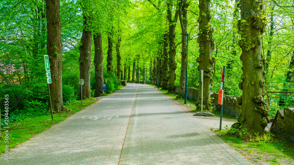 Obraz premium Minnewater park in Bruges, Belgium