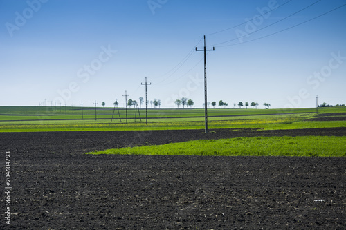 Electric line in the field