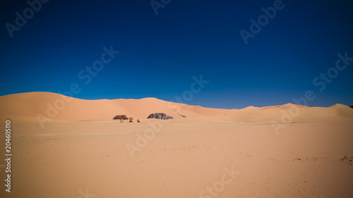 Landscape of sand dune and sandstone nature sculpture at Tamezguida in Tassili nAjjer national park  Algeria