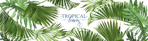 Tropical leaves web banner