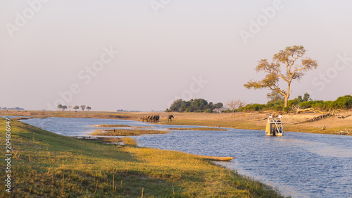 Cuadro en lienzo Boat cruise and wildlife safari on Chobe River, Namibia Botswana border, Africa