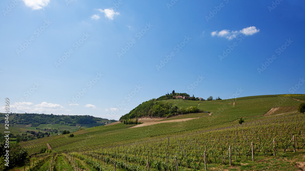 Italian Landscape ( Hills in Costigliole d'Asti, Italy)