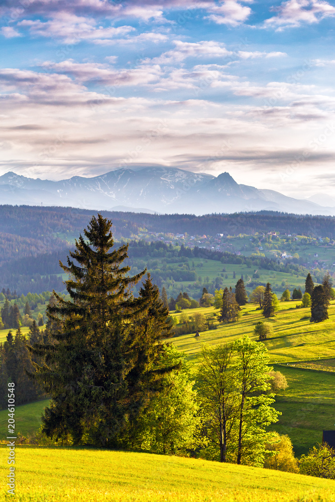 Evening light in spring. Sunset in Tatra Mountains, Poland - obrazy, fototapety, plakaty 
