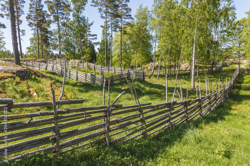 Pasture with wooden fence in the forest
