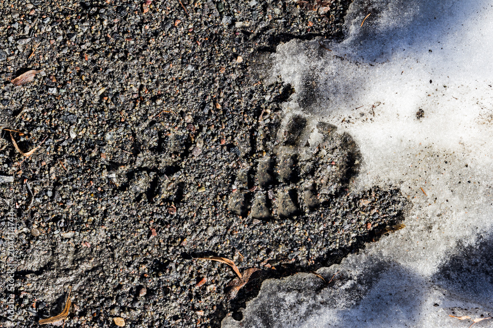 A footprint on the mud