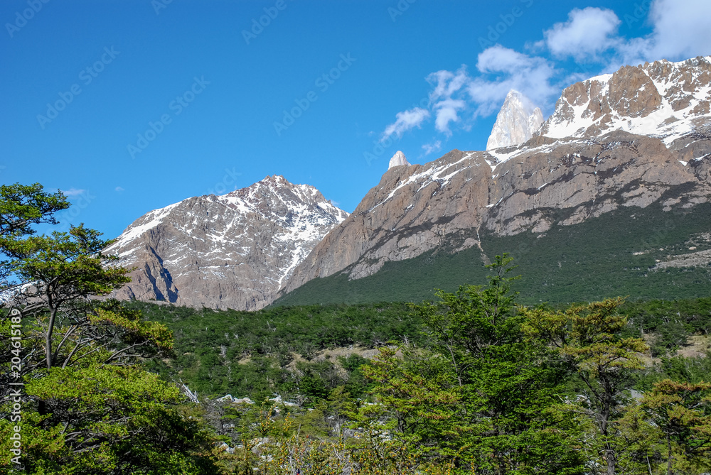 Ande s and Fitz Roy peak from a valley near El Chalten