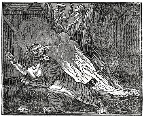 Fototapeta Naklejka Na Ścianę i Meble -  Bengal tiger in the trap (from Das Heller-Magazin, December 20, 1834)