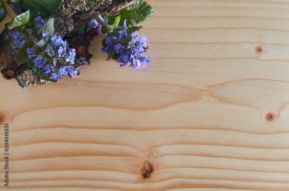 wood texture and purple flower